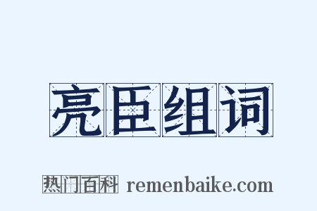 亮臣组词是什么意思的图片